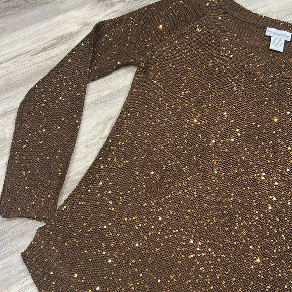 Soft Surroundings Brown Sequin Embellished Shimmer Knit V-Neck LS Tunic Sweater - Picture 5 of 9